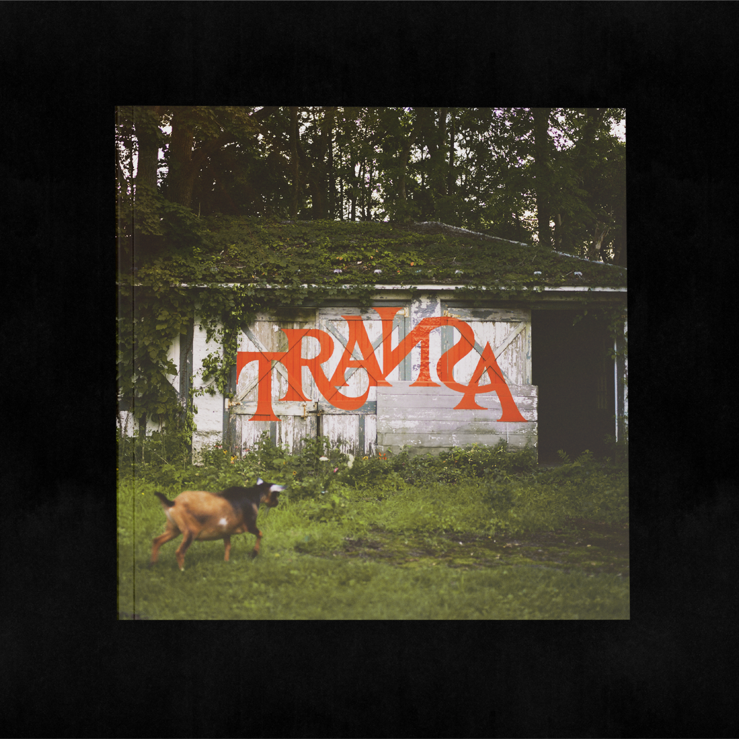 TRAИƧA 6LP Box Set (Limited Edition) PRE-ORDER